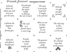 Friends Forever Quilt Pattern & Fabric Panel Kit