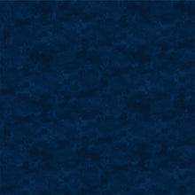 Lightkeeper's Cove Quilt KIT