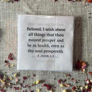 Healing Scripture Charm Square 30pc set