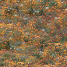Lightkeeper's Cove Wildflower Field Cotton Fabric