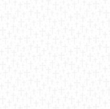 Quilting Illusions Crosses White on White Cotton Fabric
