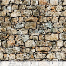 Earthly Delights Stone Pavers Cotton Fabric