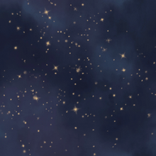 Bethlehem Star Starry Night Cotton Fabric