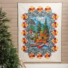 Building Quilts With Panels Book